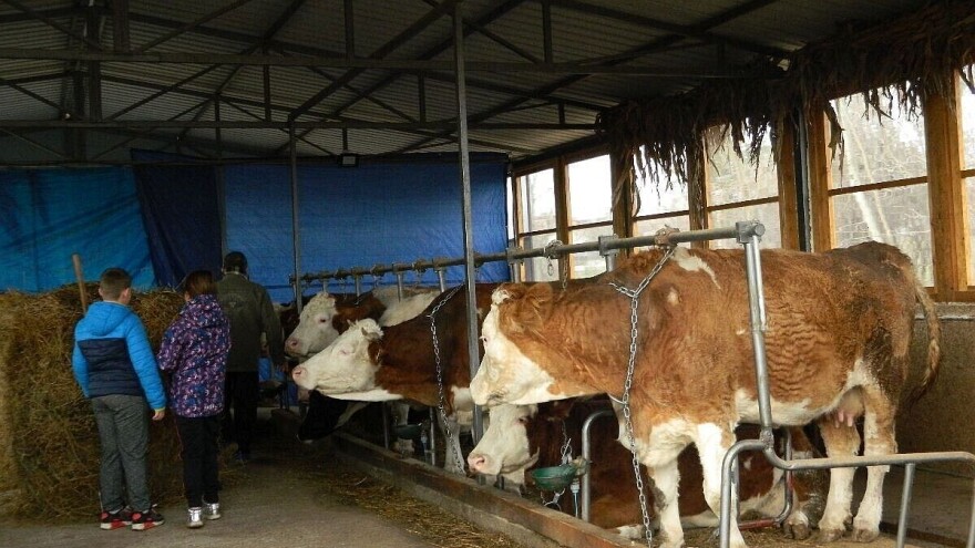 Nema zaraze stoke korona virusom, ipak pojačajte biosigurnosne mjere na farmama