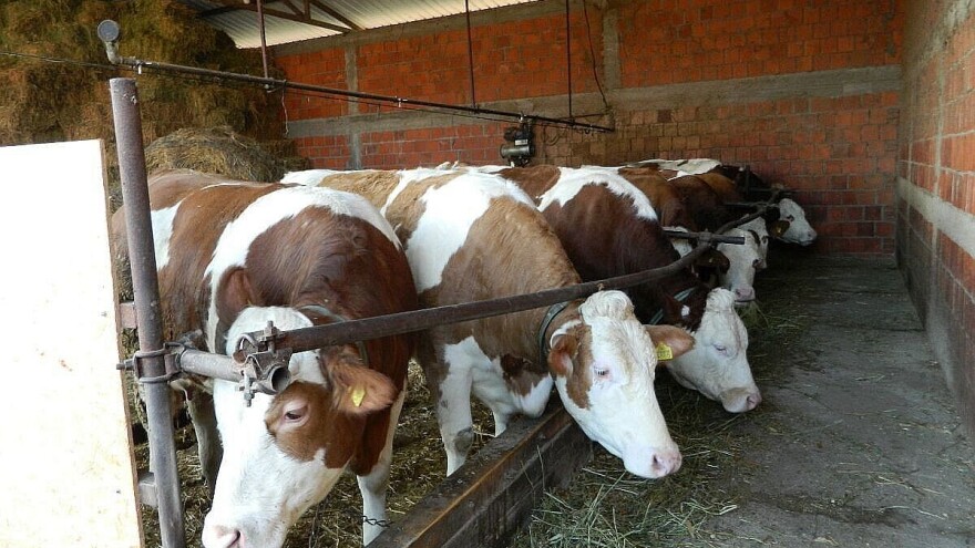 Mljekari uspješno sakupili preko 38.000 KM za borbu protiv korone