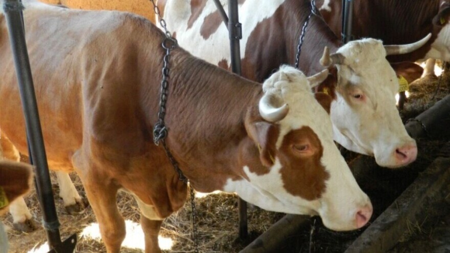 Isplaćeno preko 1,5 miliona KM za podsticaje