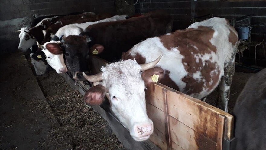 Alić: Stočari zaslužuju više podrške jer imaju i više ulaganja