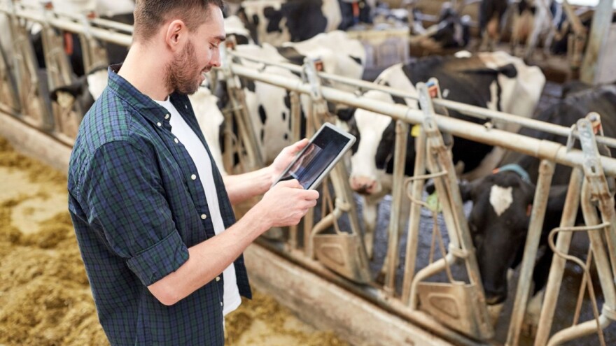 Nova Lely aplikacija za učinkovitije upravljanje farmama može upozoriti i na ketozu krava