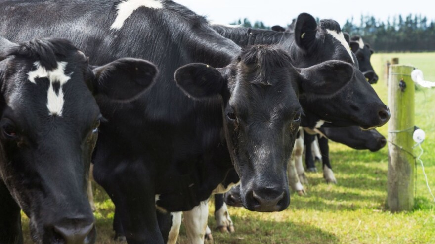 Francuska beleži pad vrednosti poljoprivredne proizvodnje i smanjenje subvencija