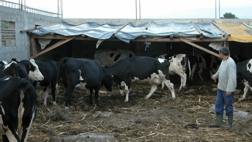 1,7 milijuna kuna za ulaganje u stočnu farmu