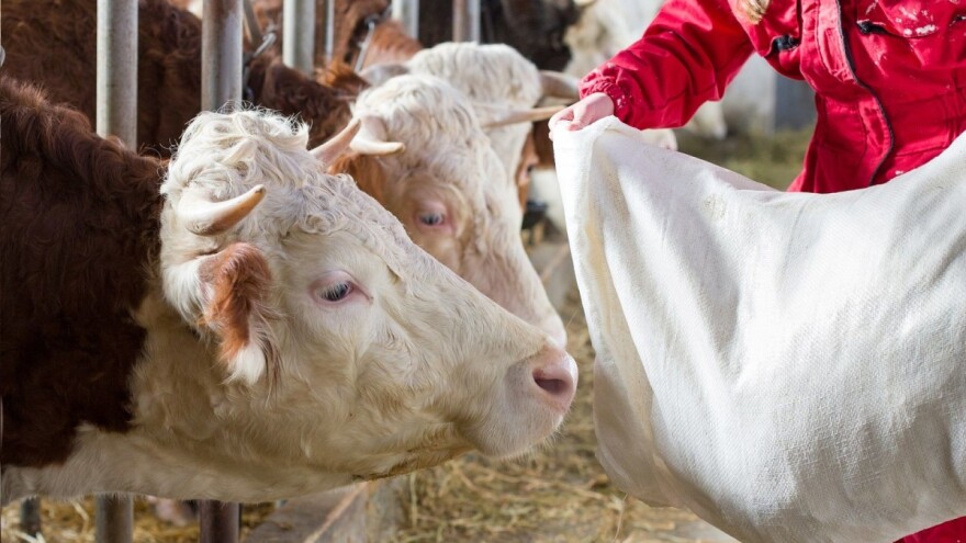 Suša u Evropi: Komisija predstavila dodatne mjere za potporu poljoprivrednicima