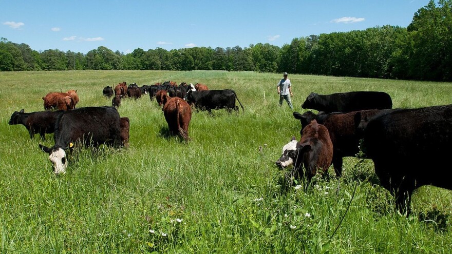 Dovođenjem vode i zapošljavanjem olakšao život meštana sela Doliće