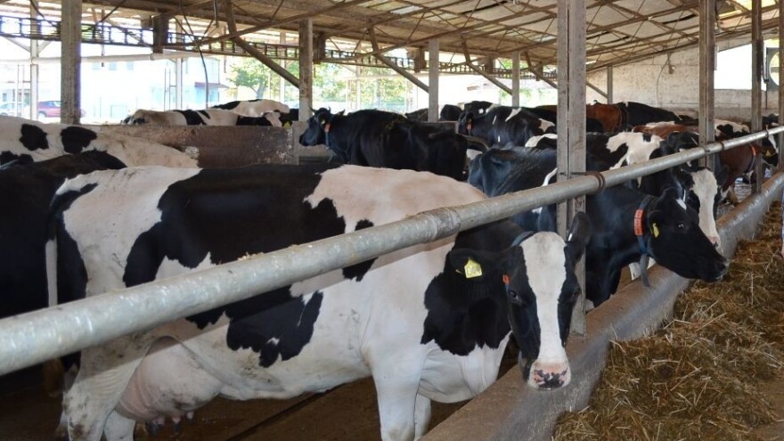 Vlada: Za iznimno osjetljive sektore u poljoprivredi 121 milijun kuna