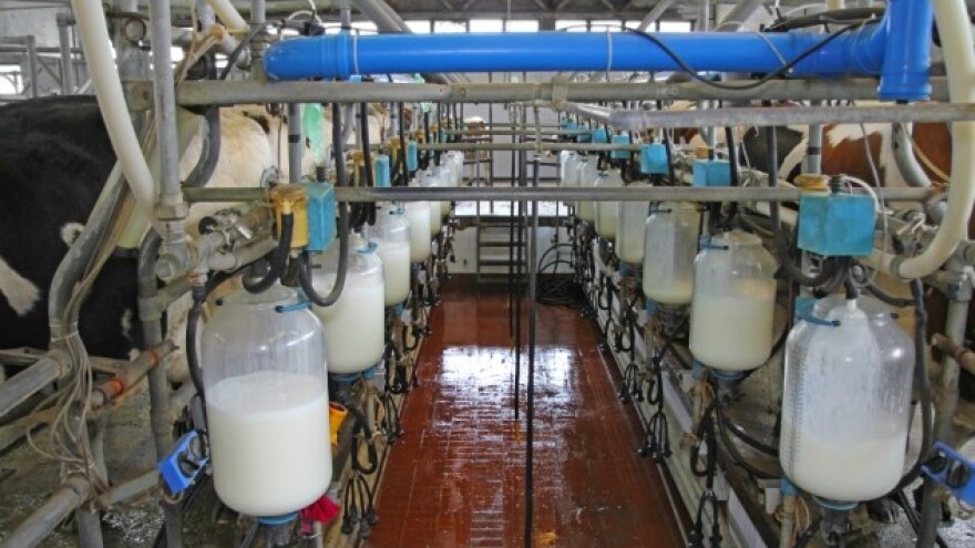 Prelevmani na mleko zaustavljaju izvoz voća?