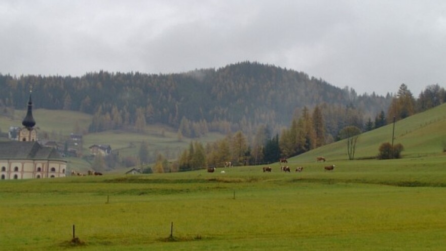 Prosječna farma u Koruškoj ima 30 grla