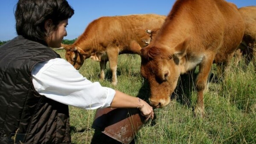 Nova pravila oko koncentracije metana?