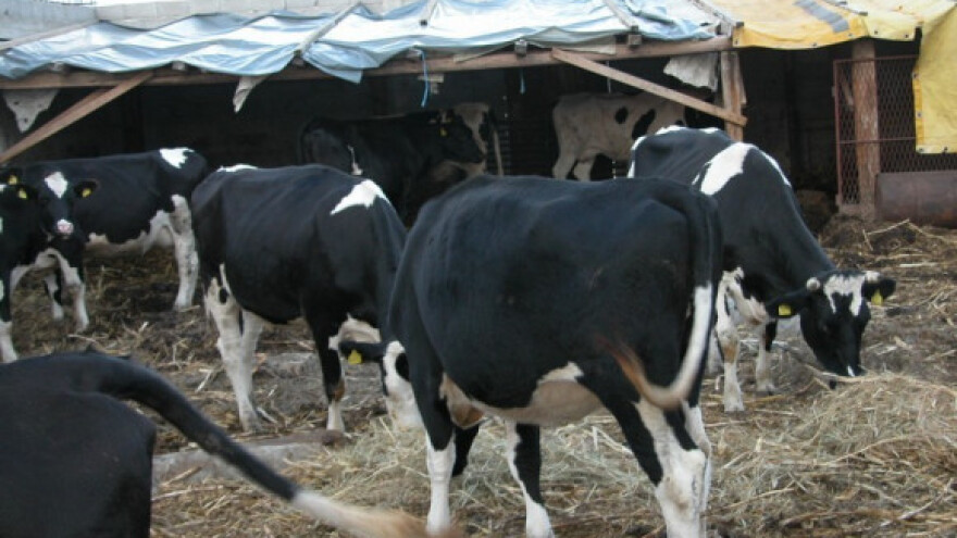 Hrvatska EU tampon zona od stočnih bolesti!