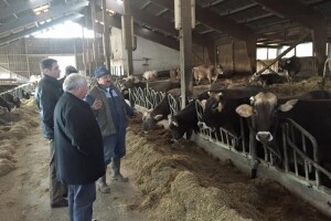 Imamo rješenje za grčki sindrom hrvatskog agrara