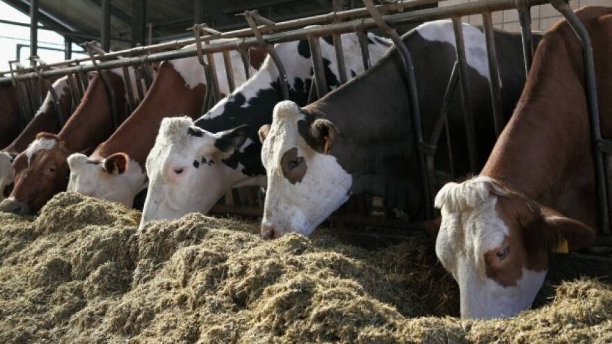 Bolest pod kontrolom - farmeri na oprezu