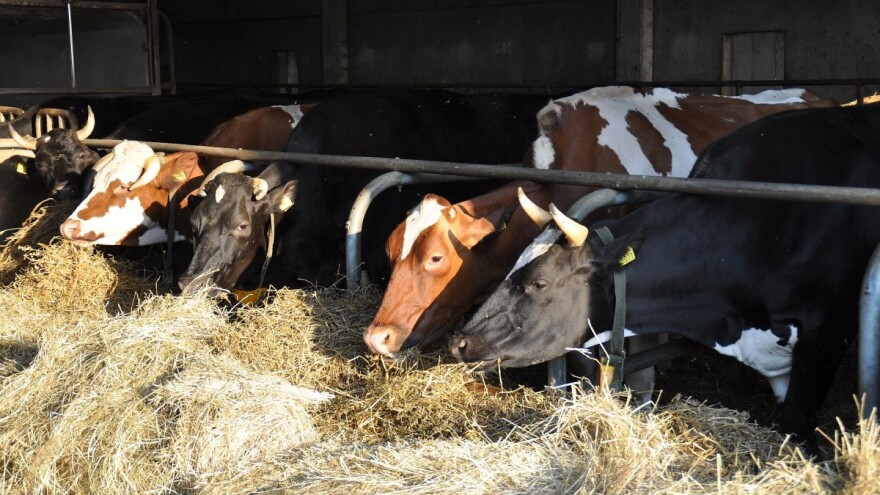 Obećano - izvršeno! OBŽ osigurala dva milijuna kuna za razvoj stočarstva kroz nove potpore
