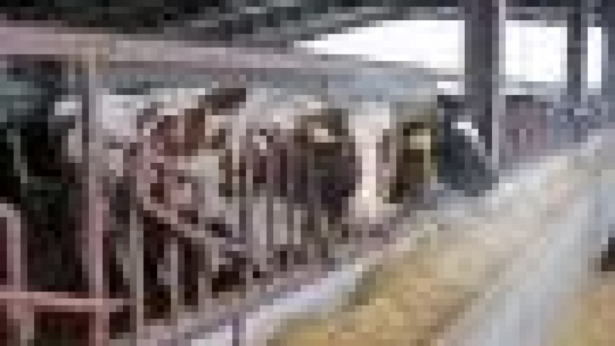 Svakoga dana propada čak 18 gospodarstava!