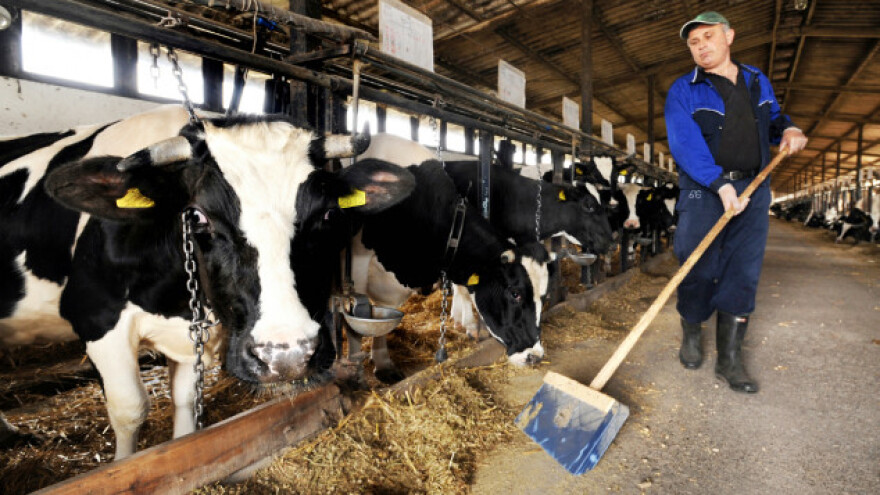 Mlečno govedarstvo traži edukovane farmere