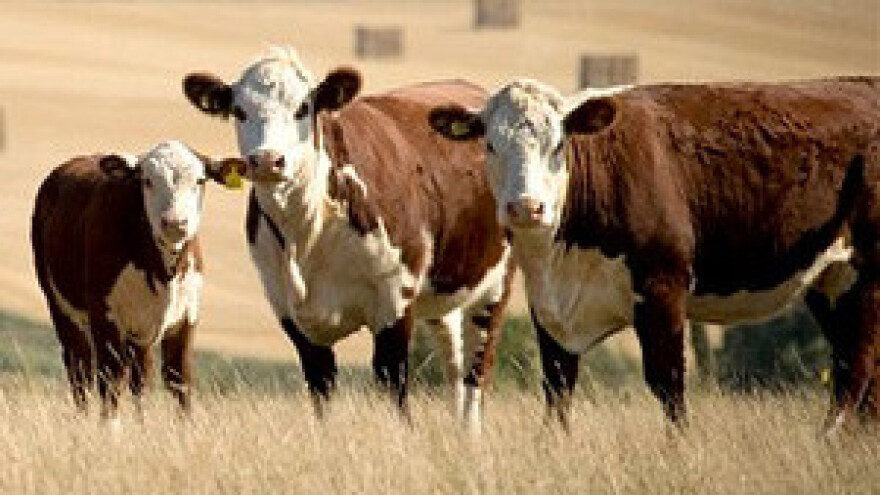 Mljekari traže hitnu pomoć