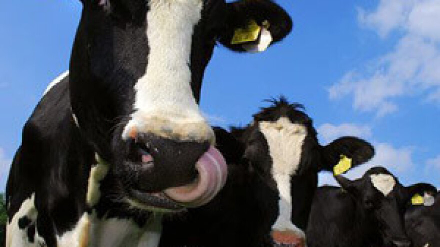 Profitabilnost povećavaju proizvodnjom struje