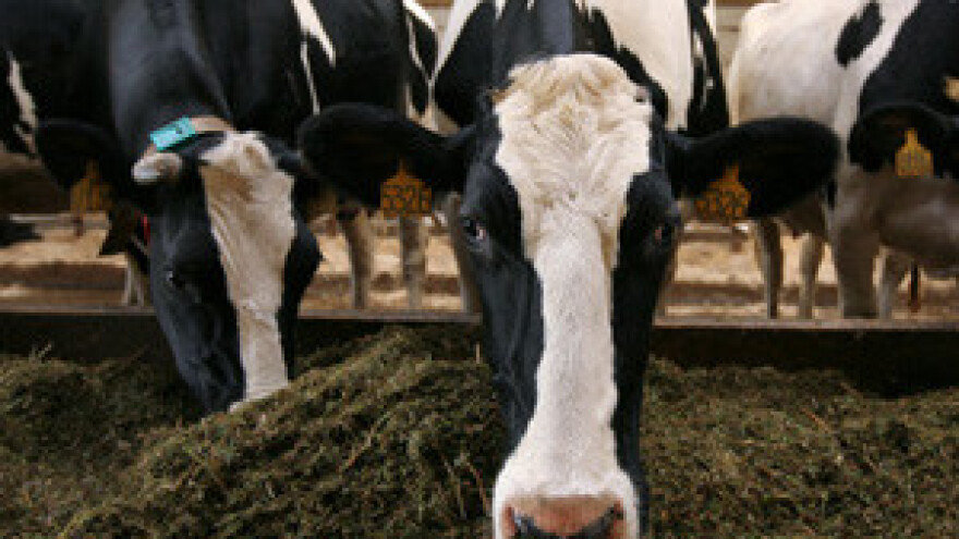 Hlađenje stajskih objekata