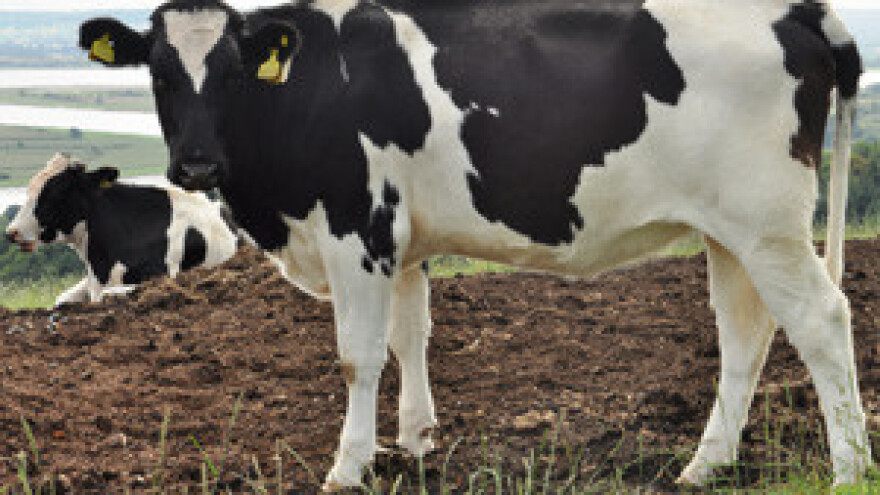 Vlada se šepiri povlasticama za sve, samo ne za poljoprivredu