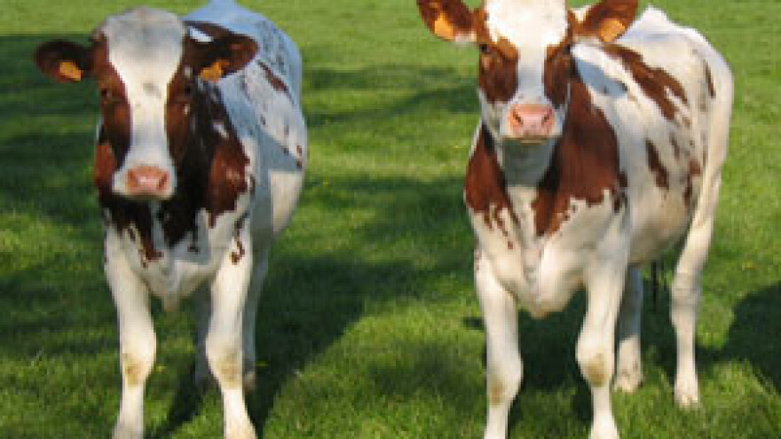 Svakoga dana dva mljekara manje