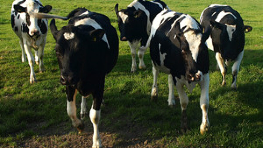 Stručni susret predstavnika Ministarstva poljoprivrede Republike Turske i Saveza uzgajivača goveda Turske u Hrvatskoj