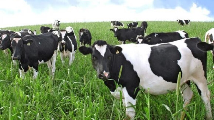 Mljekar proširuje proizvodnju