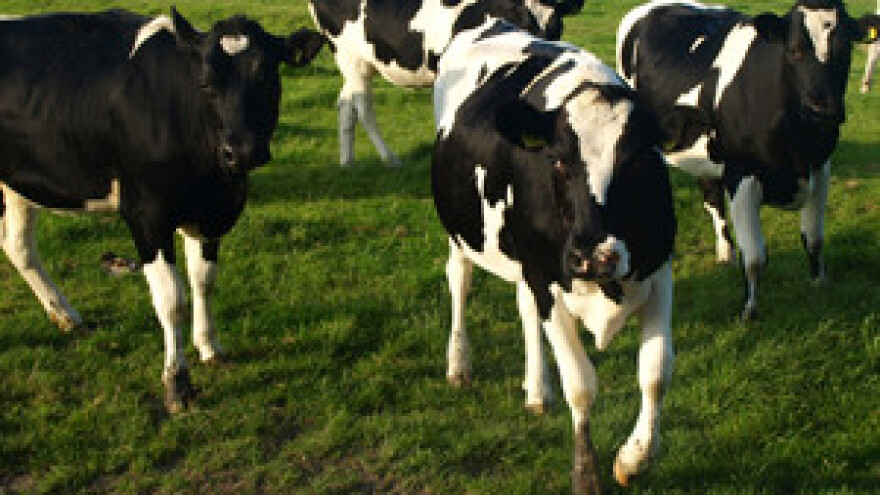 Adio meso, zbog nestašice vode jest ćemo povrće