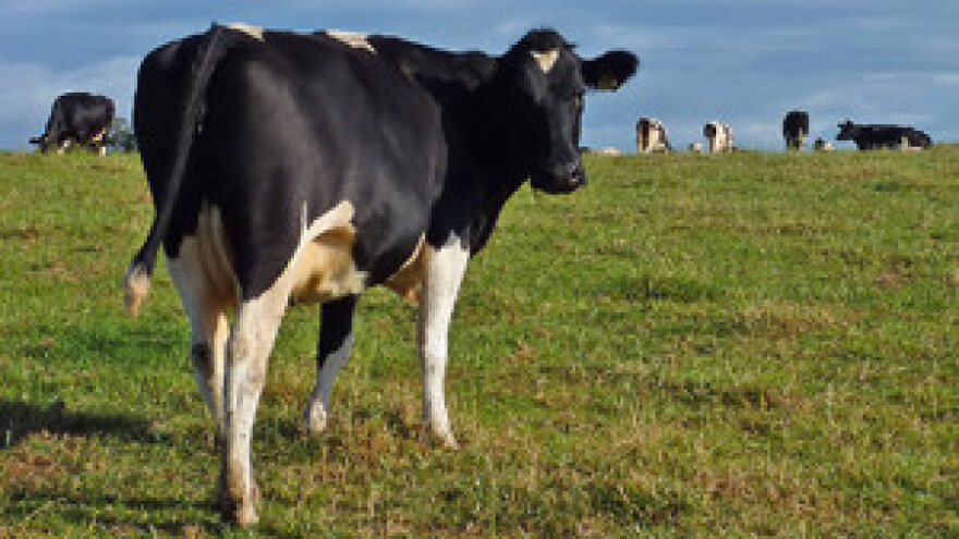 Farmeri postaju energetičari