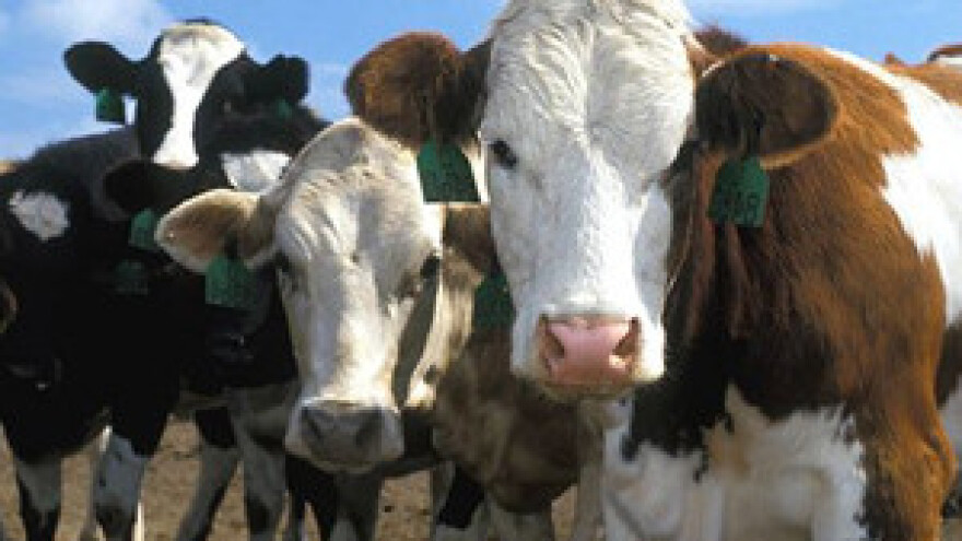 Jakovina: Ne postoji razlog za obustavu isporuke mlijeka