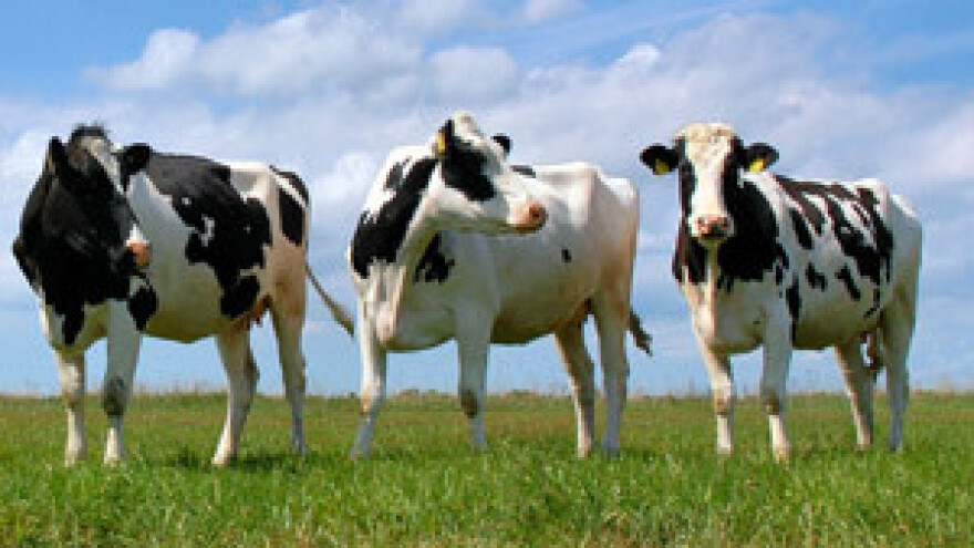 Konferencija Europskog udruženja proizvođača mlijeka