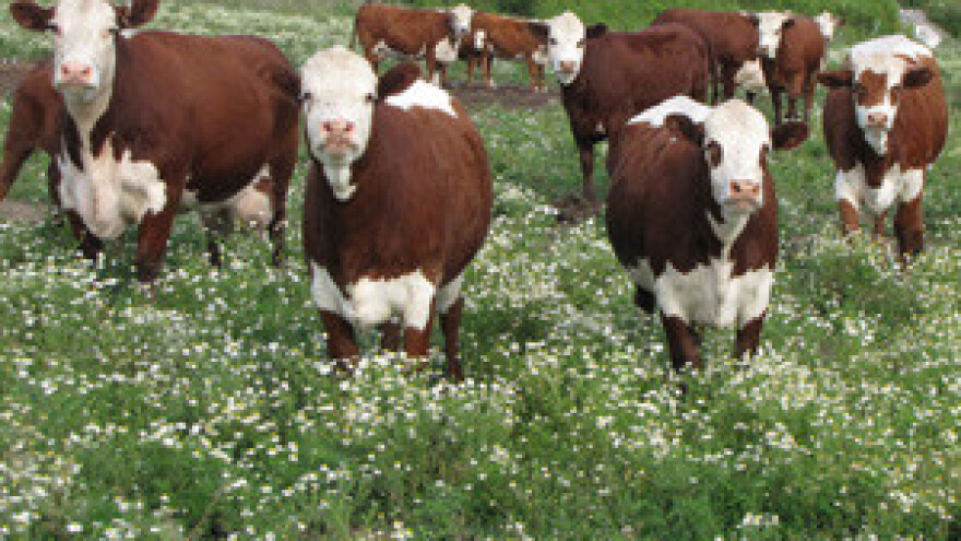 Zahtjevi proizvođača mlijeka