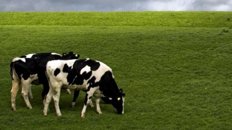 Iduće godine poticaji za samo osam proizvoda