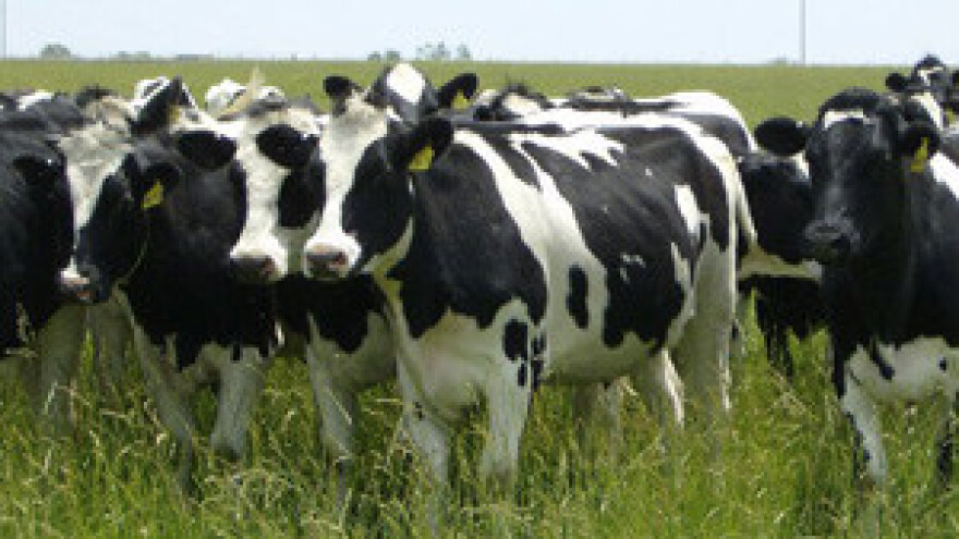 Mljekari od danas isporučuju mlijeko