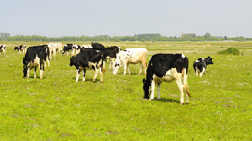 Lactalis kupio Ljubljanske mljekare