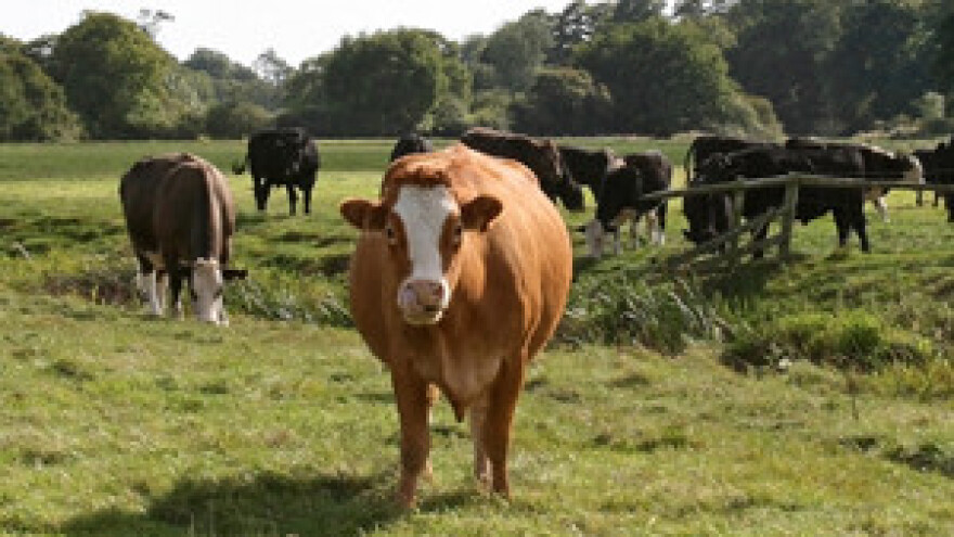 Nove isplate za IPARD projekte