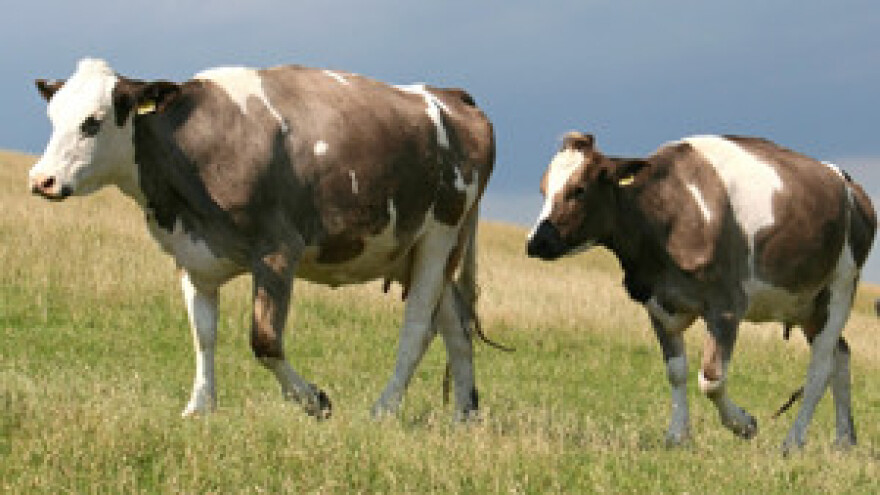 Valjda će nam biti bolje kada uđemo u EU