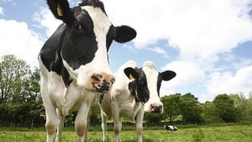 Selo još uvijek čeka svoju priliku