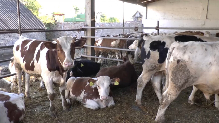 Uklonjena prepreka za izvoz mesa u Kinu