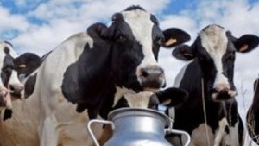 Mljekomat - automat budućnosti mljekarstva u Hrvatskoj?