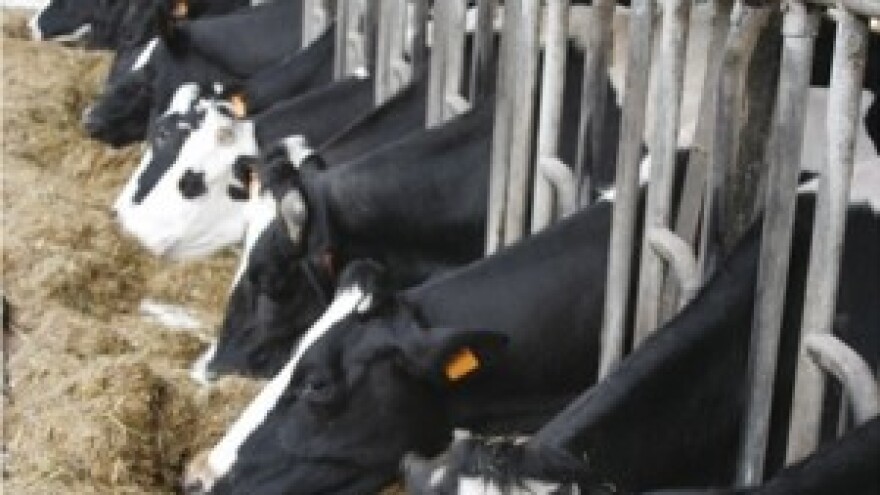 Kako postići najbolju kvalitetu silaže?