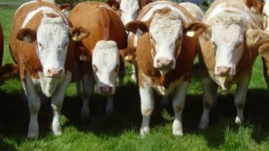 Inspekcijski nadzor gospodarstva Lov Farma d.o.o.