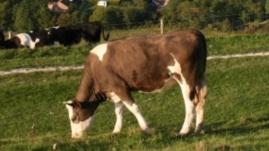 Zaključci sa sastanka ministara poljoprivrede regije