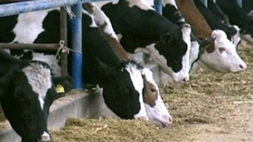 Očajni mljekar: "Izgubljen sam i stjeran uz zid"