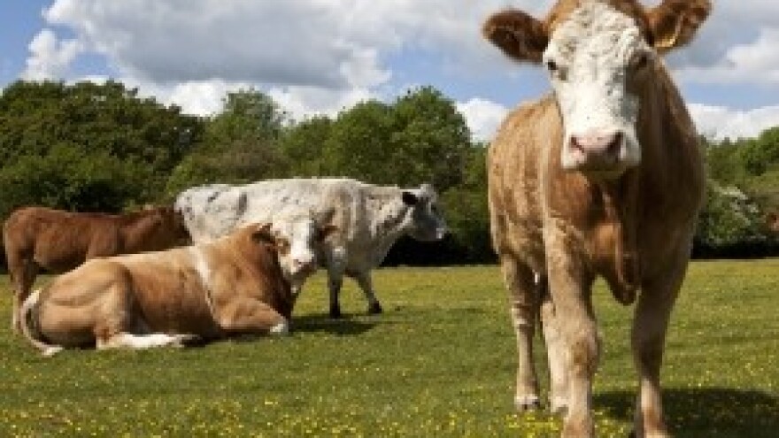 Jakovina održao sastanak sa Hrvatskim savezom udruga proizvođača mlijeka