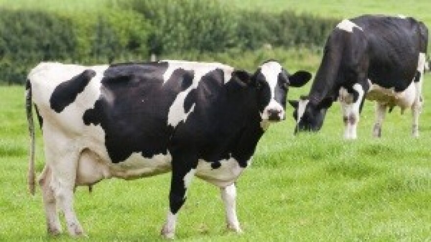 Dukat uspio preuzeti Ljubljanske mlekarne