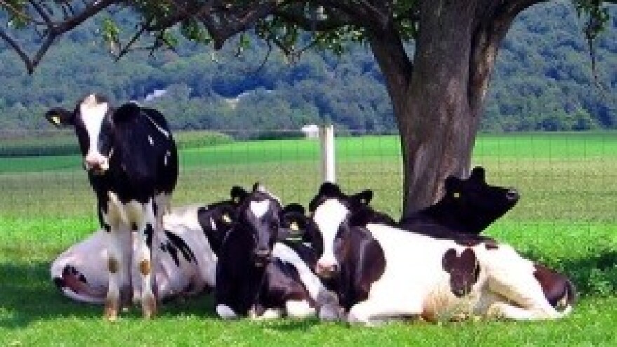 Nema pogodovanja najvećima kod zakupa državnog zemljišta