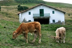 Zahtjeve za legalizaciju farmi predala šačica ljudi