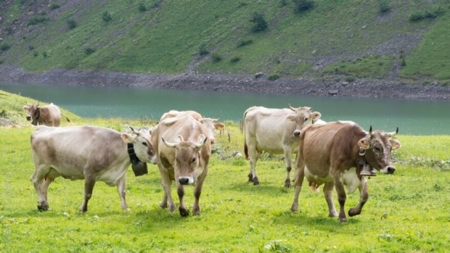 Prijave na seminar o hranidbi domaćih životinja