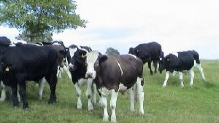 Kako je desetkovano hrvatsko selo