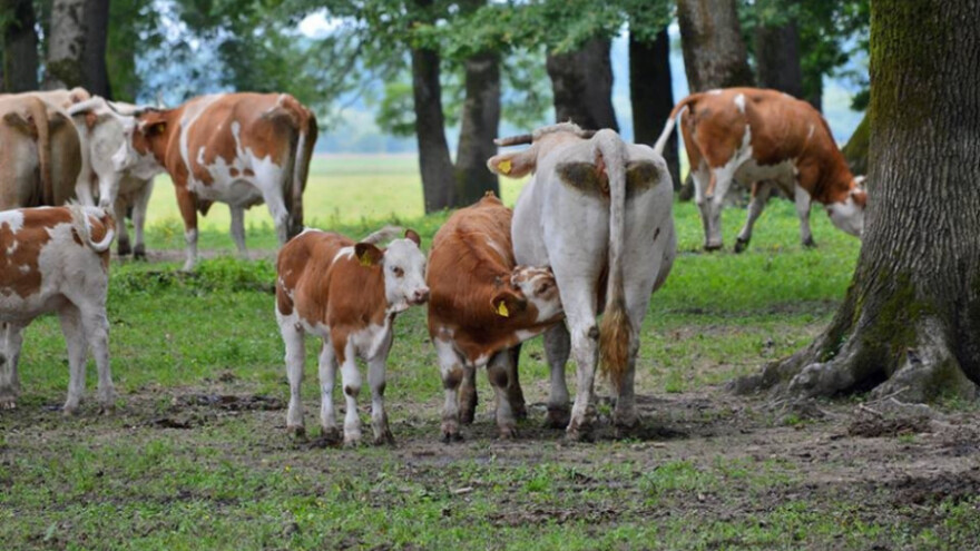 Isplate za 2 OPG-a iz Mjere 4!